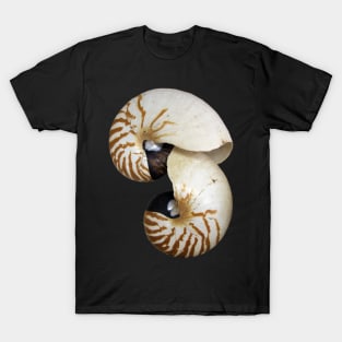 Nautilus Shell - photography by Avril Thomas - Adelaide / South Australia Artist T-Shirt